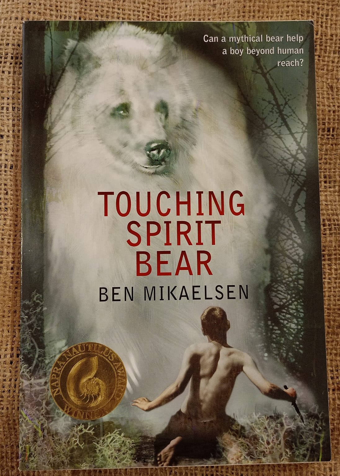 Touching Spirit Bear