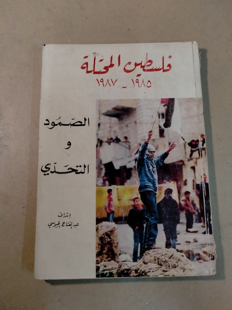 فلسطين المحتلة ١٩٨٥-١٩٨٧: الصمود والتحدي