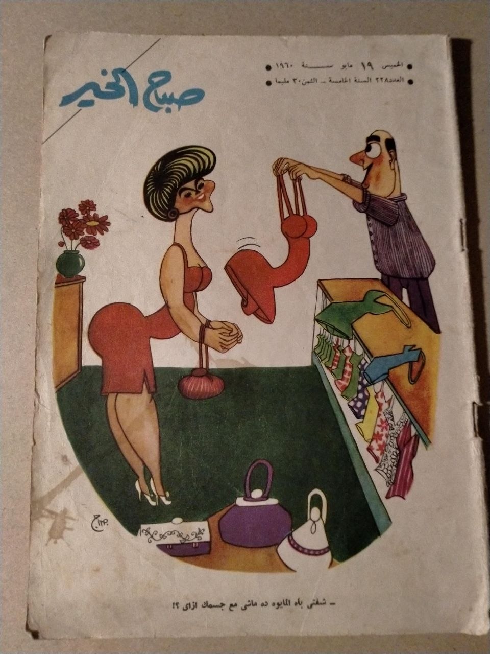 العدد 228 - 1960