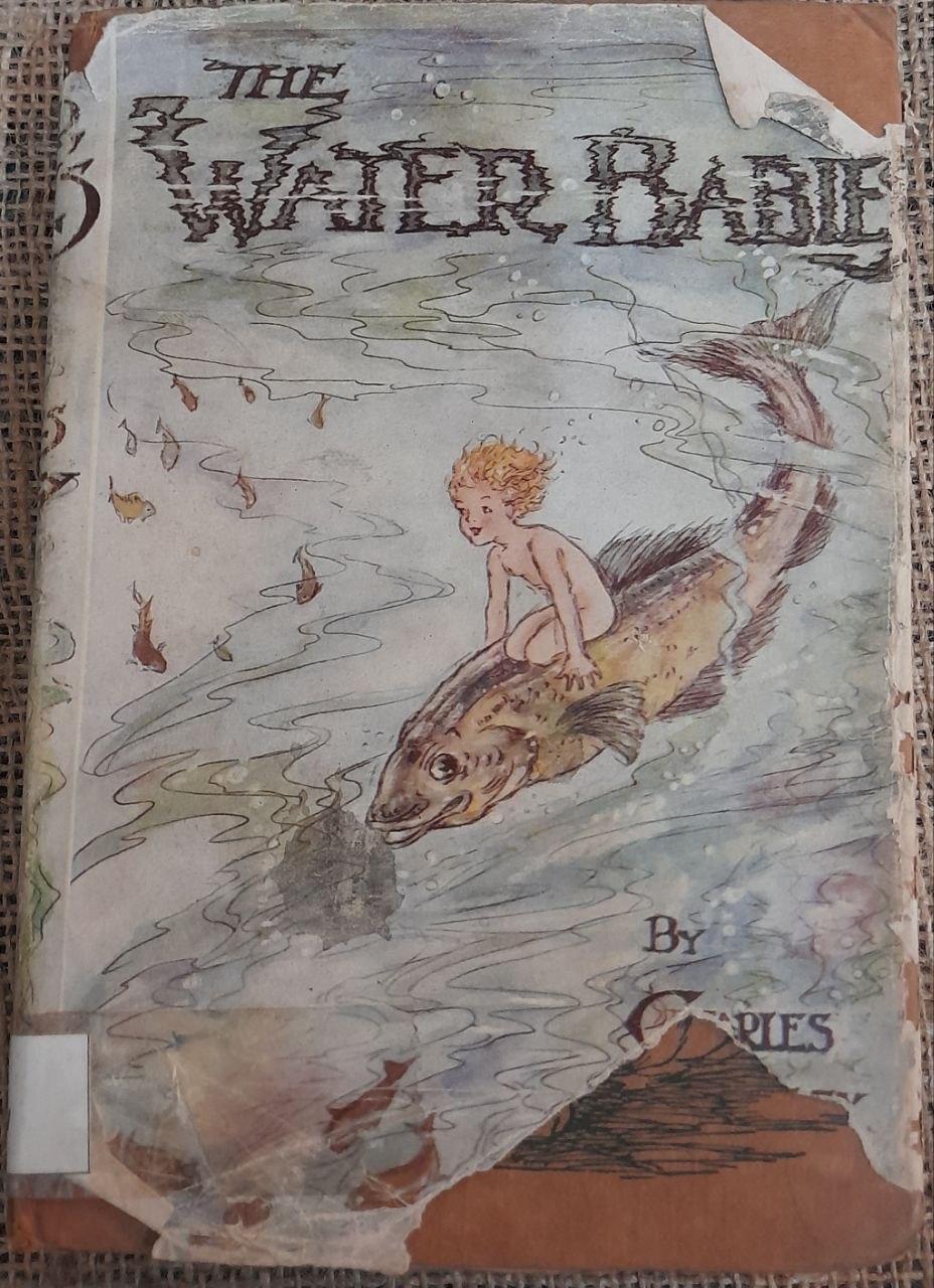 The Water-Babies