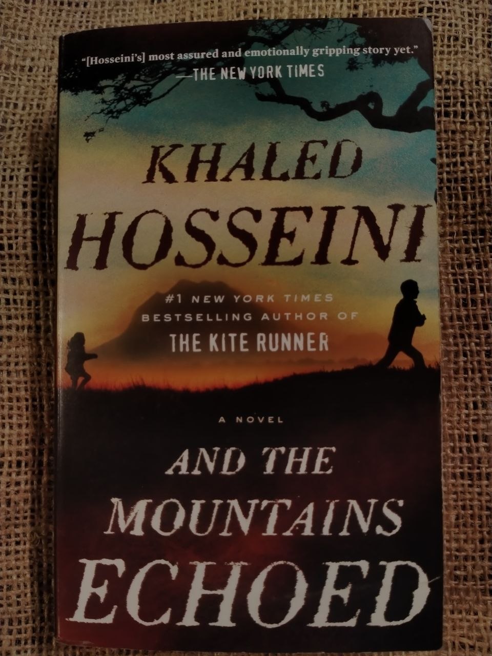 And the Mountains Echoed