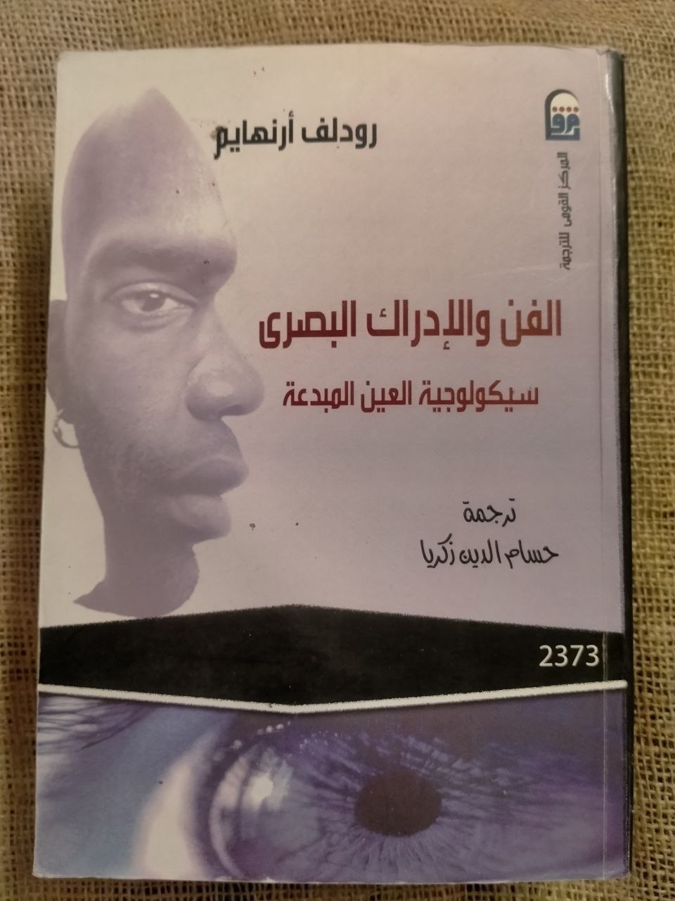 الفن والادراك البصري - سيكولوجية العيون المبدعة
