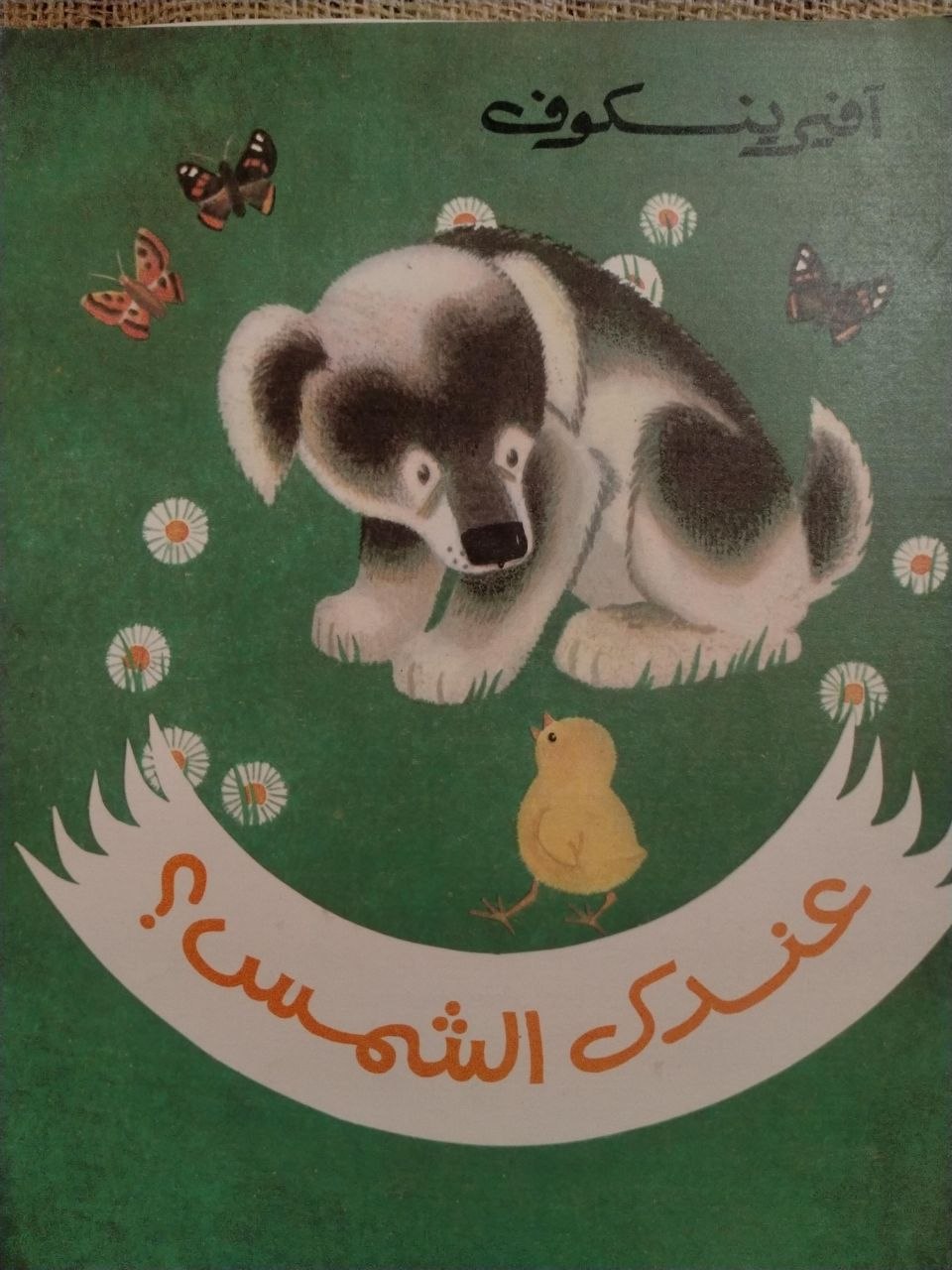 عندك الشمس؟