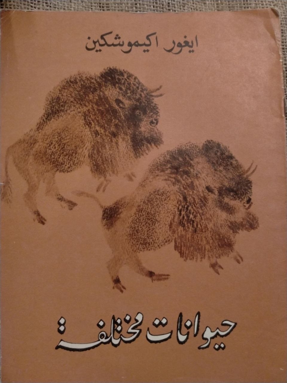 حيوانات مختلفة