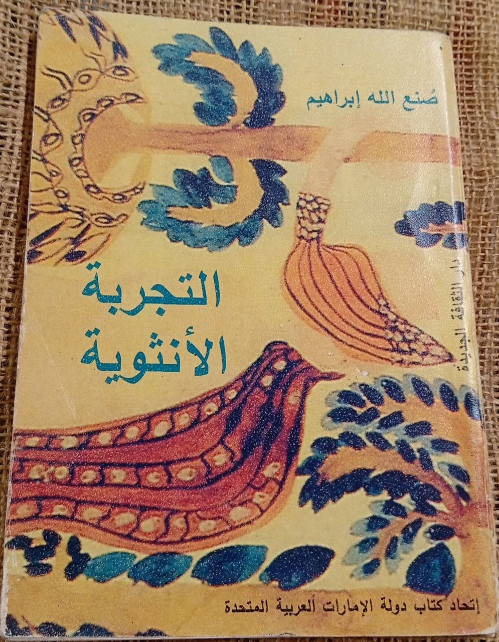 التجربة الانثوية