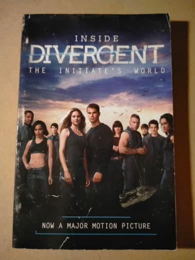 Inside Divergent: The Initiate's World
