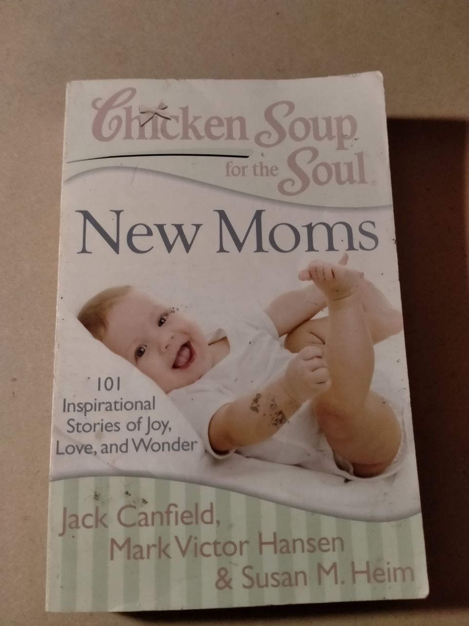 Chicken Soup for the Soul: New Moms: 101 Inspirational Stories of Joy, Love, and Wonder