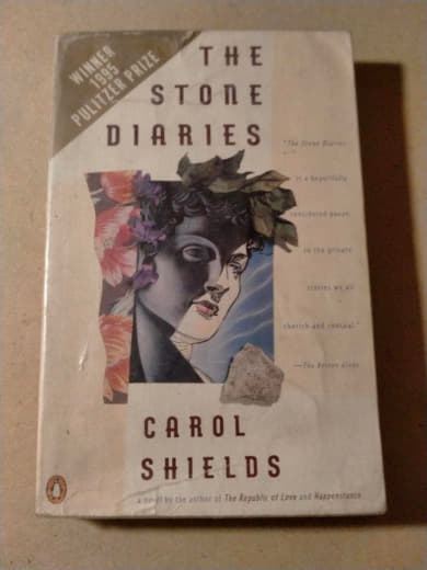 The Stone Diaries