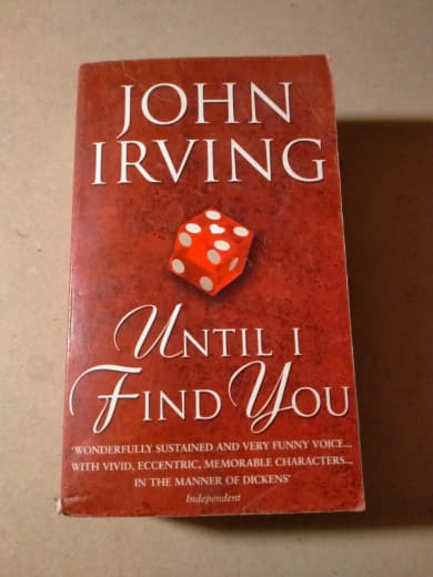Until I Find You