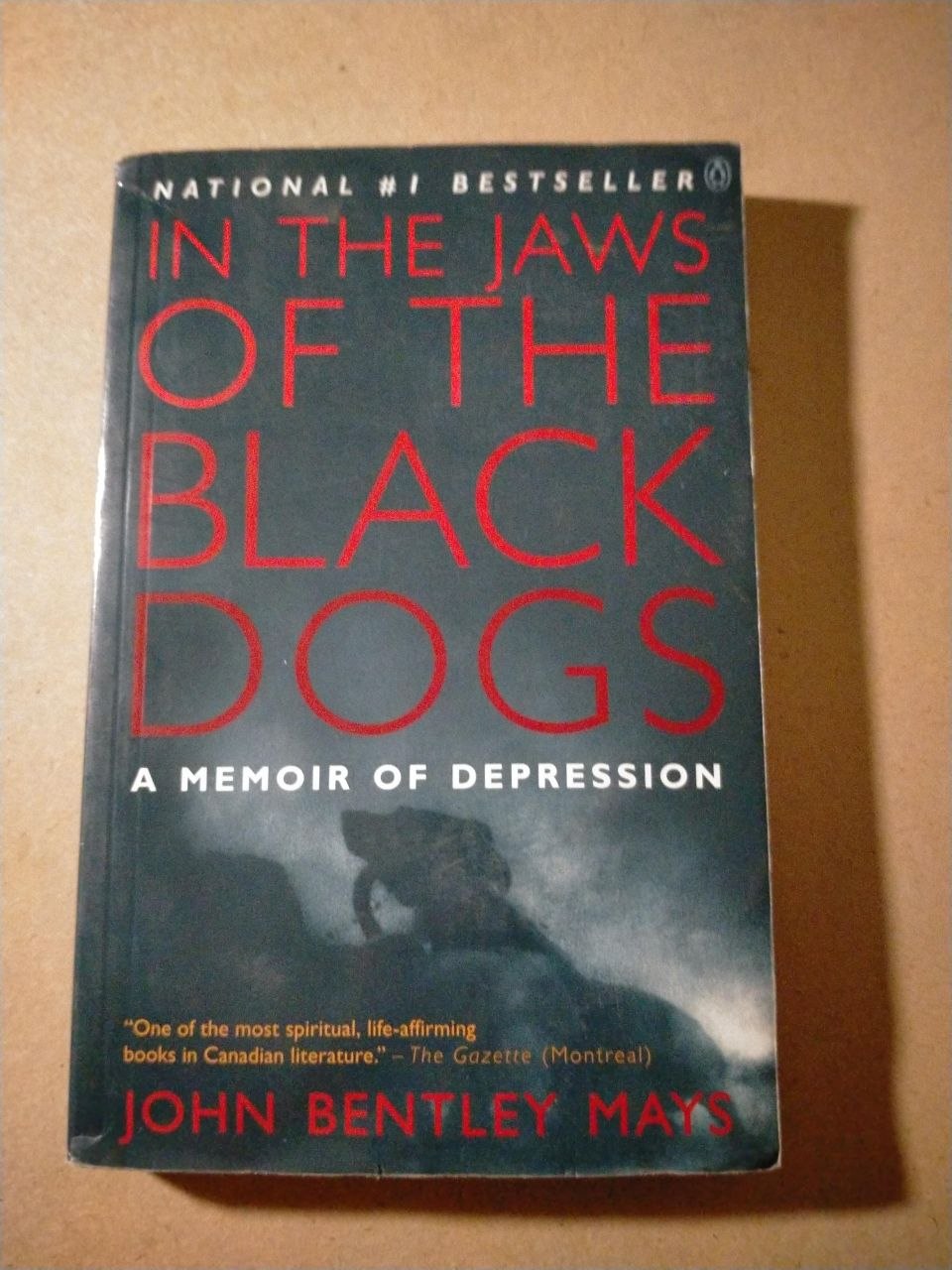 In the Jaws of the Black Dogs: A Memoir of Depression